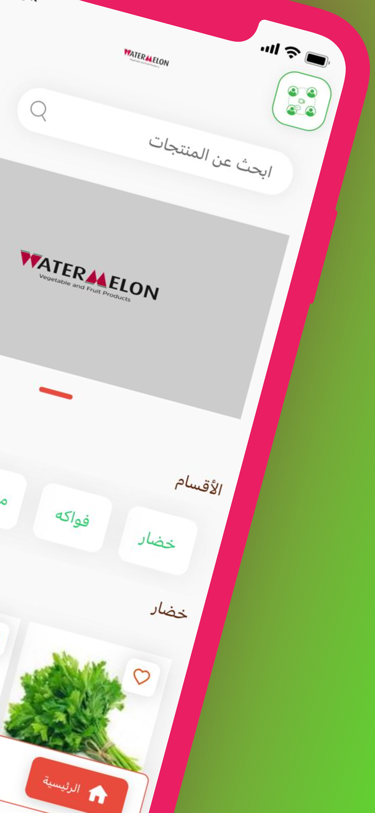 Watermelon