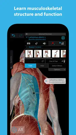 Game screenshot Muscles & Kinesiology mod apk