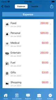 spending tracker income pro iphone screenshot 3