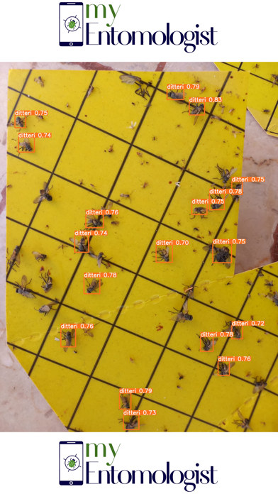 MyEntomologist Screenshot