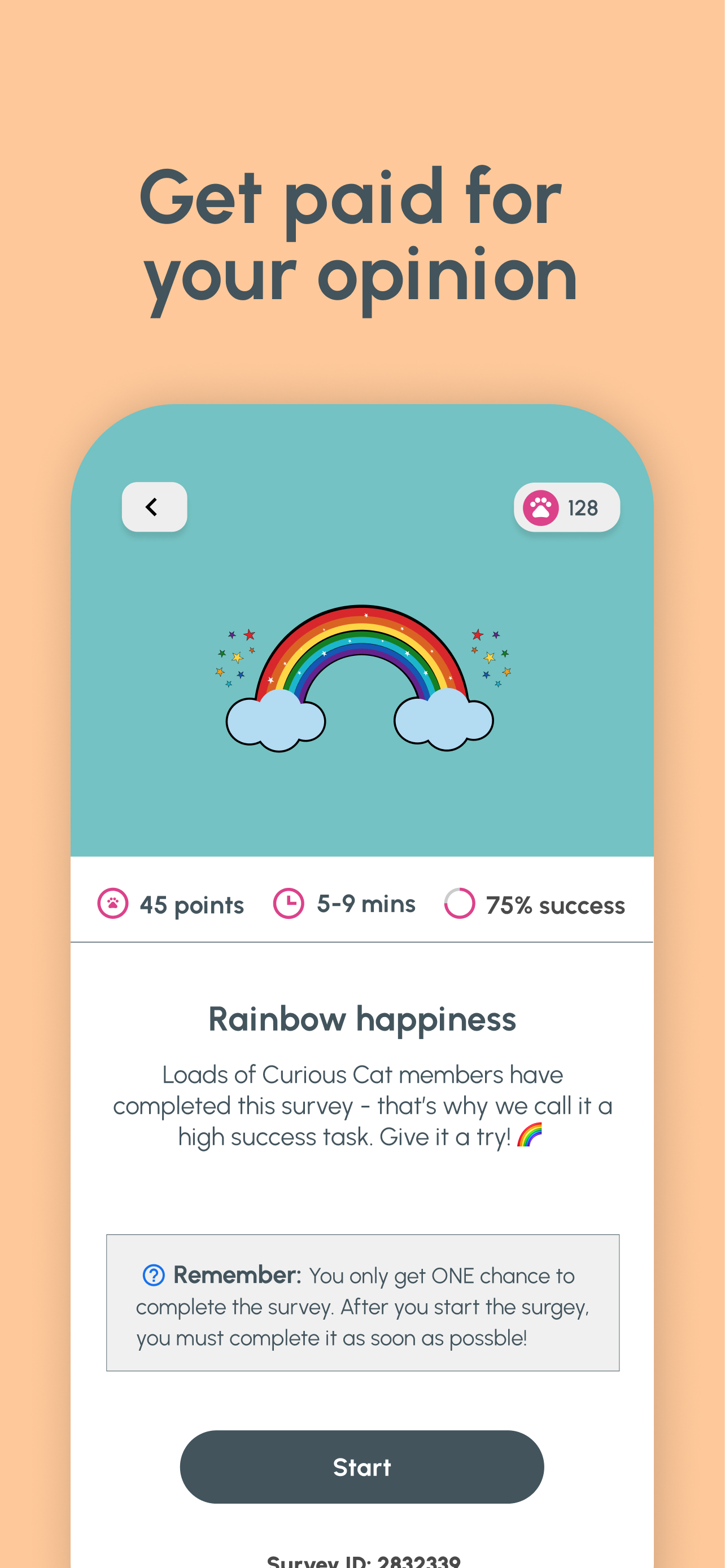 Curious Cat: Paid Surveys