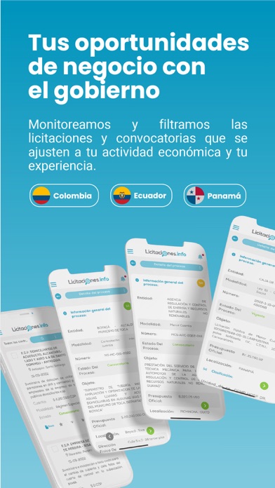 Licitaciones Screenshot
