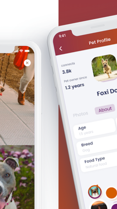 The Pet Society Screenshot