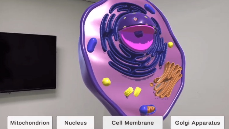 Sprout Anatomy AR screenshot-3