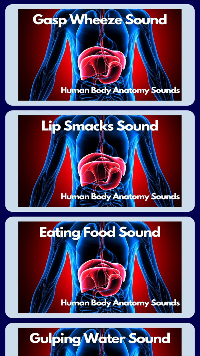 Human Body Anatomy Sounds
