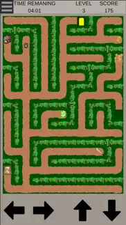 find the path: a maze game iphone screenshot 3