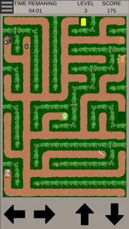 Game screenshot Find the Path: A Maze Game hack