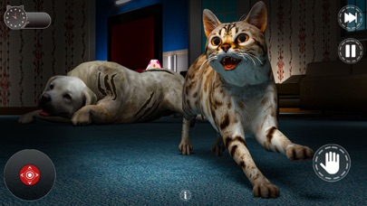 Cat Simulator Scary Pet Game Screenshot