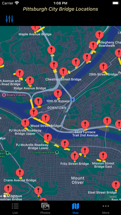Pittsburgh City Bridges Screenshot
