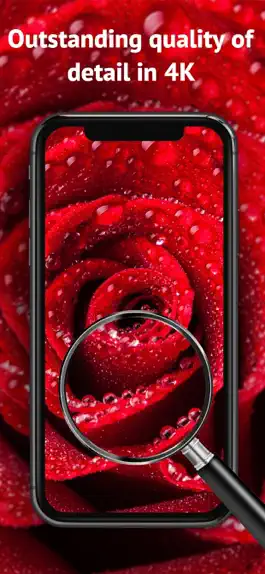 Game screenshot Beautiful Wallpapers 4K / HD hack