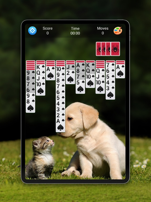 Spider Solitaire (Classic) iPad screenshot 7 - Games app