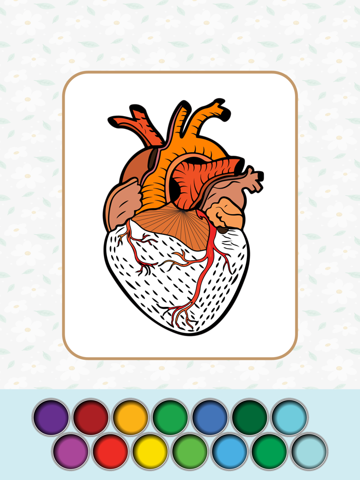 Anatomy Coloring Book.