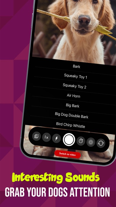 PetCam - Perfect Pet Portraits Screenshot