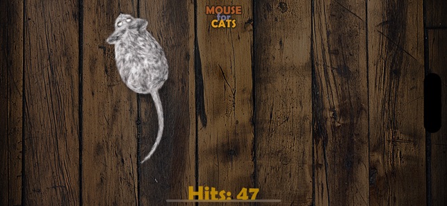 Mouse app hot sale for cats