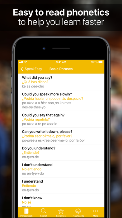 SpeakEasy Phrases & Flashcards Screenshot