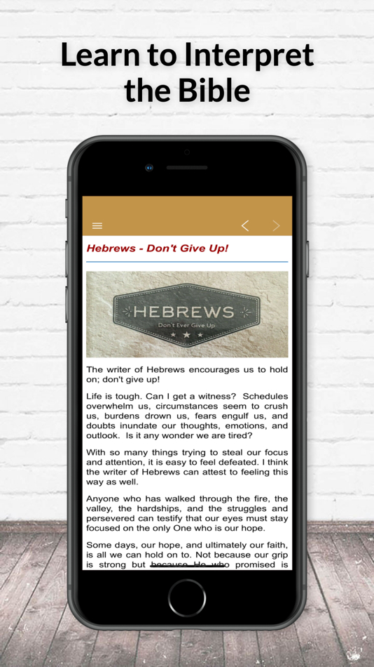 #2. How to Interpret the Bible (iOS) 게시자: David Ortega Lopez