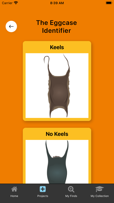 The Shark Trust Screenshot