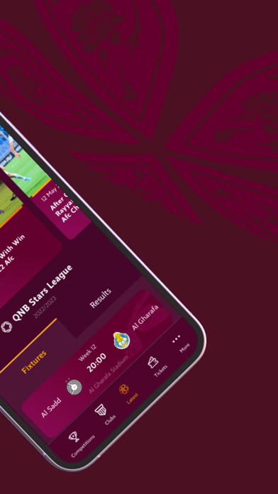 Qatar Stars League Screenshot