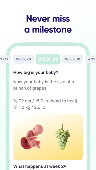 Kompanion: Period & Pregnancy Screenshot
