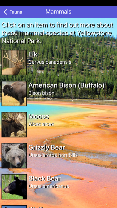 Yellowstone Nat'l Park Tour Screenshot