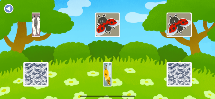 Memory Game - Insects -