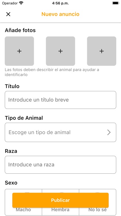 PeTrace screenshot-9