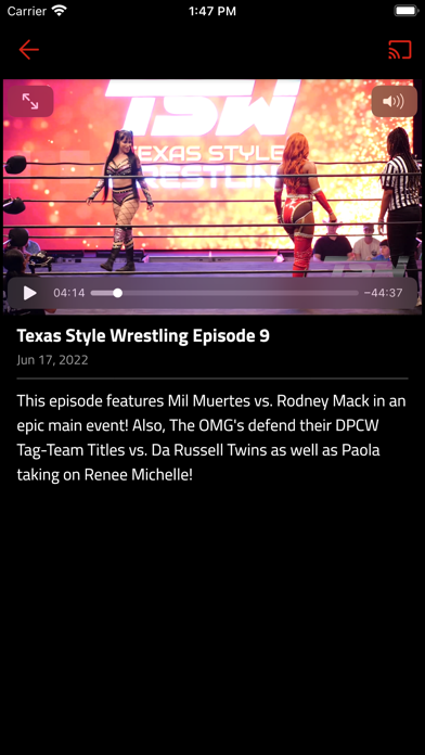 Texas Style Wrestling Screenshot