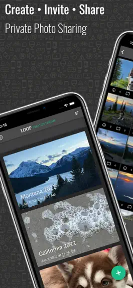 Game screenshot Loop PHOTOSTREAM mod apk