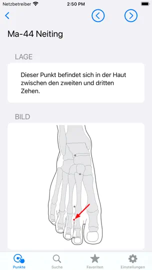 Screenshot von Akupressur: Selbstbehandlung auf dem iPhone 3