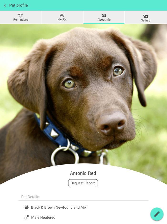 Just 4 Pets Wellness Center