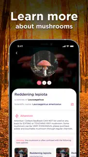 mushroom id: fungus identifier iphone screenshot 4
