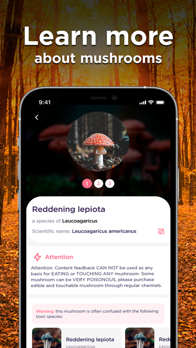 Mushroom ID: Fungus Identifier screenshot 4