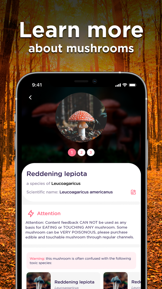 #4. Mushroom Identifier: Photo ID (iOS) 由: Picture & Photo Identifier Company LTD
