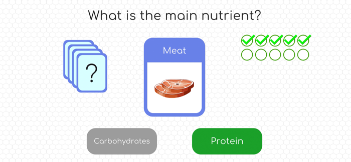 Human Body Adventure Game