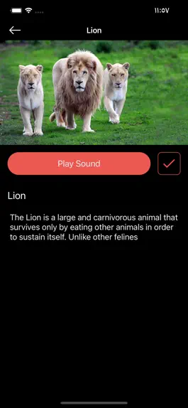 Game screenshot World Animal Sounds mod apk