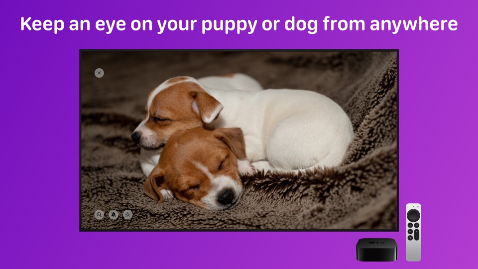 Pet Monitor VIGI App Price Drops