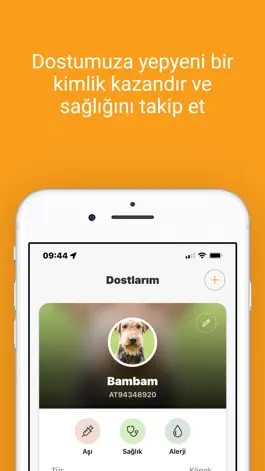 Game screenshot Petinoks hack