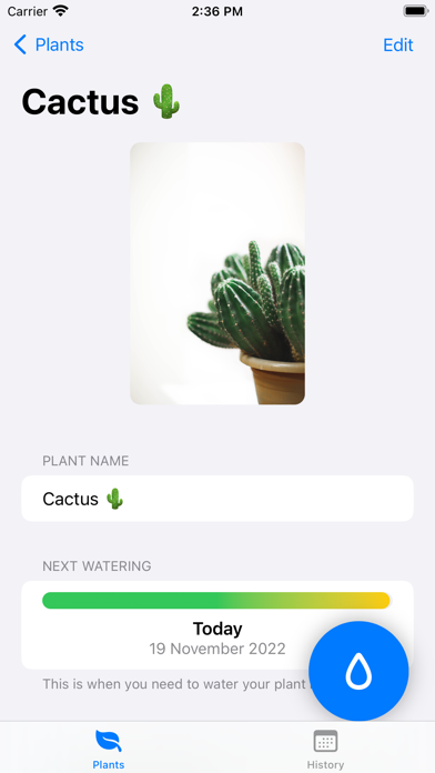 Water That Plant Screenshot