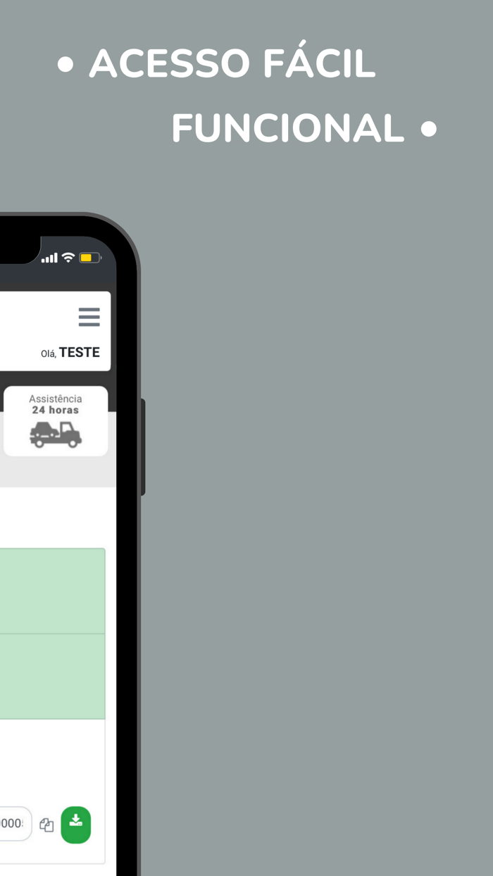 Reis - Proteção Veicular