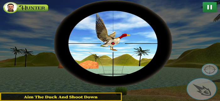 Duck Hunting Sniper Shooting