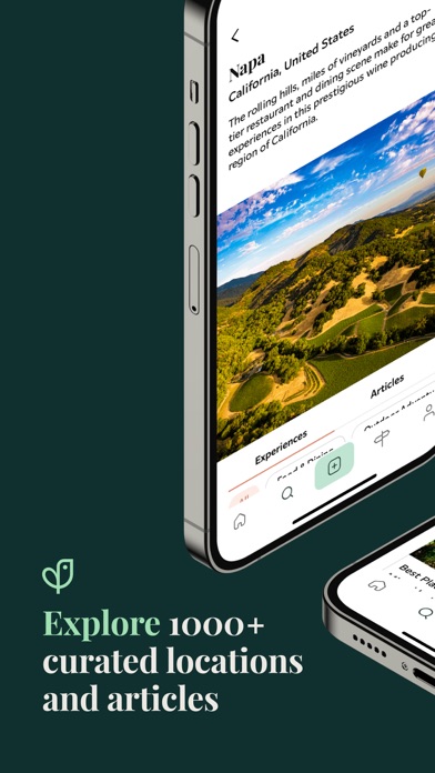 Vida Travel Screenshot