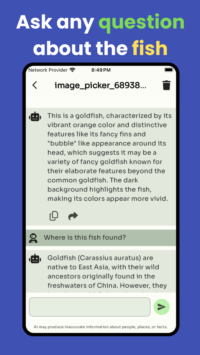 Fish identifier 2024