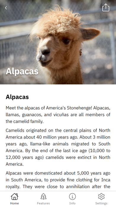 America's Stonehenge Screenshot