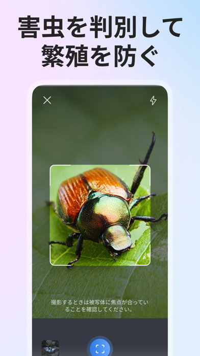 Picture Insect: 写真から昆虫やクモを識別するスクリーンショット