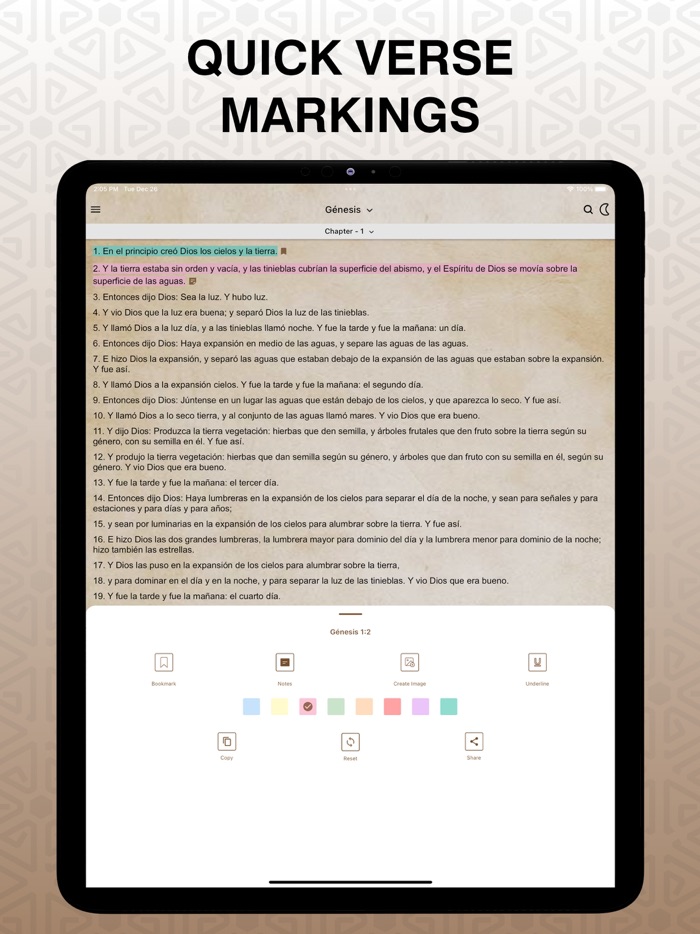 Biblia Dios Habla Hoy DHH Pro