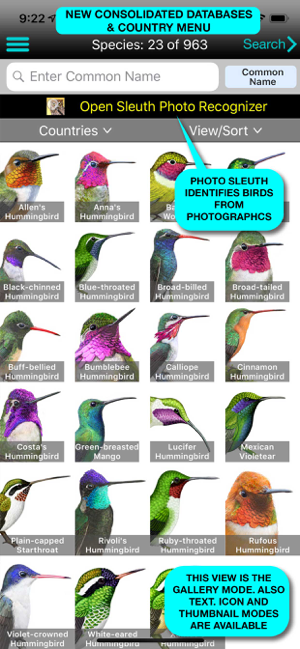 ‎iBird Pro Guide to Birds Capture d'écran