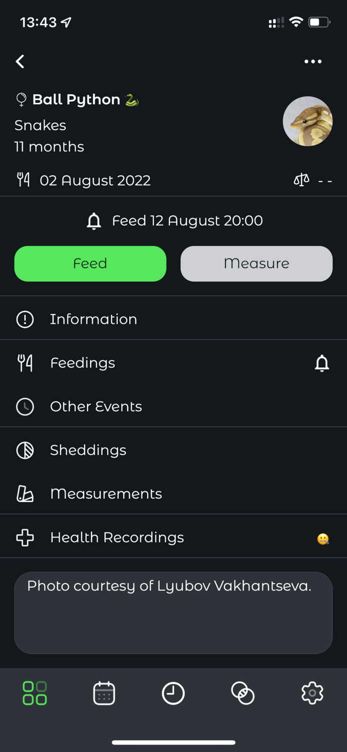 Reptile Rocket pet tracker