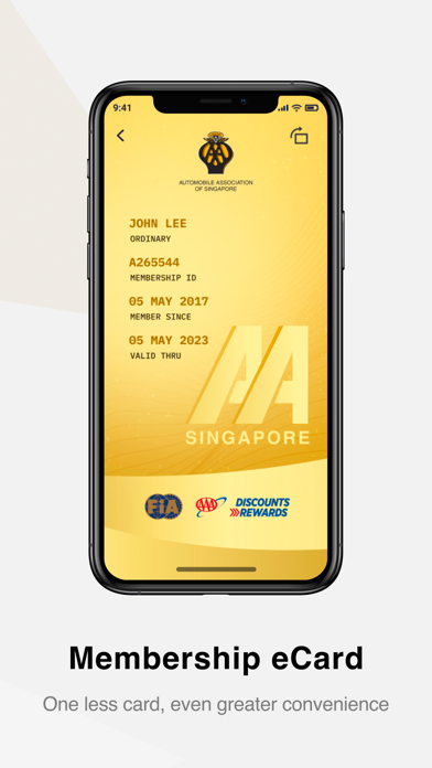 AA Singapore Screenshot