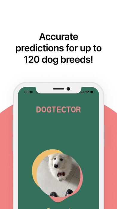 DogTector Screenshot