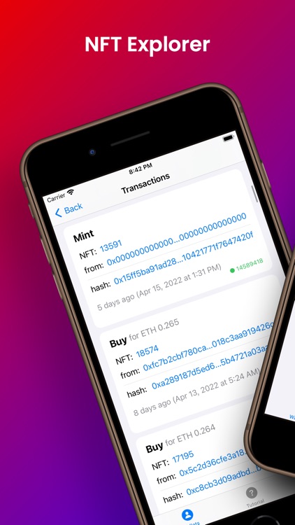 NFT Explorer
